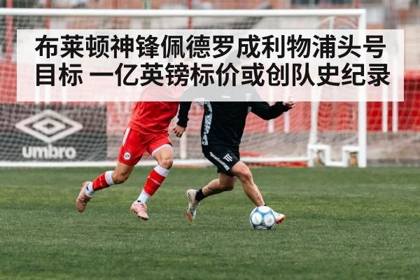 布莱顿神锋佩德罗成利物浦头号目标 一亿英镑标价或创队史纪录